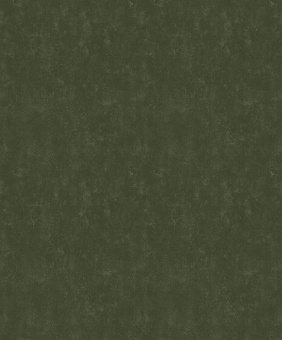 Обои Emil&Hugo Akasa