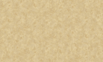 Обои Bruno Zoff Platinum