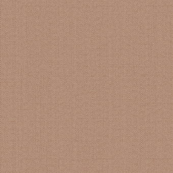 Обои Alessandro Allori Bruni