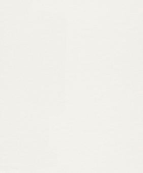 Обои Rasch Wallton Makulaturvlies