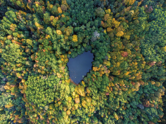 Фрески/Панно ORTOGRAF Горы