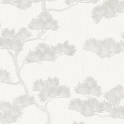 Обои Alessandro Allori Giorgio