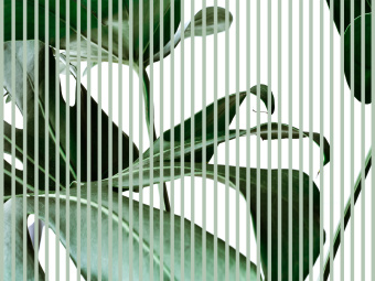 Фотообои Wall Street GREENDAY 22