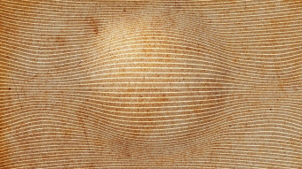  Обои Skinwall Suite Collection