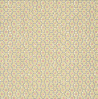 Обои Little Greene National Trust Papers 2