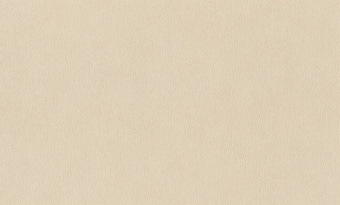 Обои Rasch Alghero