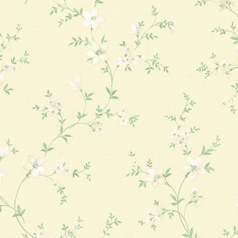 Обои Alessandro Allori Bruni