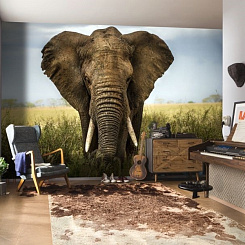 Обои Artmegahome Животные
