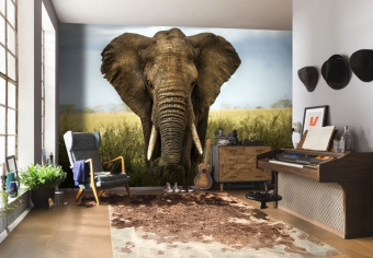 Фотообои Artmegahome Животные