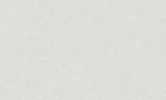 Обои Rasch Diona