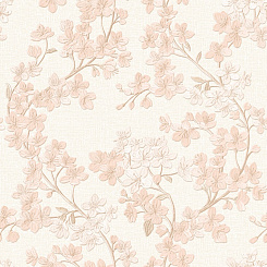 Обои Alessandro Allori Giorgio