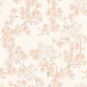 Обои Alessandro Allori Giorgio