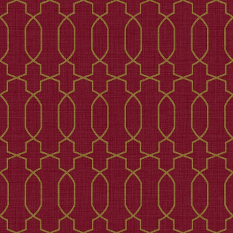 Обои Parato Amazzonia