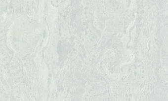 Обои Cassanie Xenia