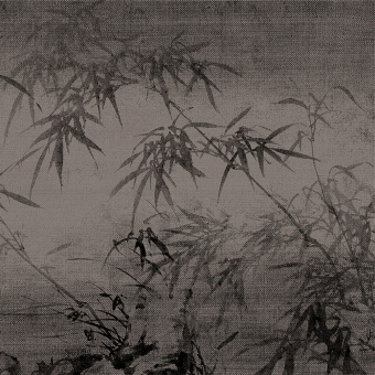 Обои Brewster New Creator 3