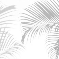 Фотообои Wall Street VETVE 22