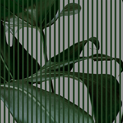 Фотообои Wall Street GREENDAY 22