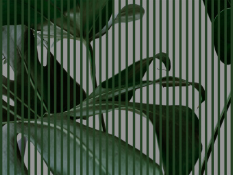 Фотообои Wall Street GREENDAY 22