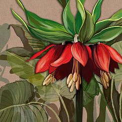 Фотообои Wall Street SOLO