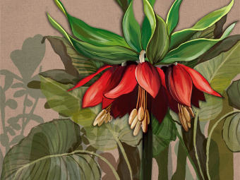 Фотообои Wall Street SOLO