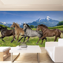 Обои Artmegahome Животные