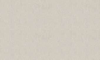 Обои Rasch Gentle Elegance 