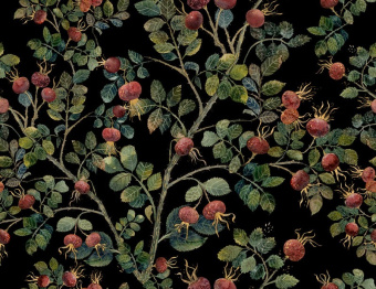 Фотообои Onprint СИНГИ