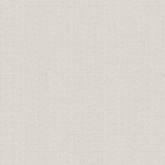 Обои Alessandro Allori Bruni