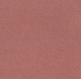 Обои Alessandro Allori Argiano