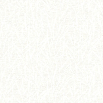 Обои Brewster Evolution 9