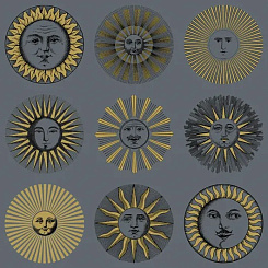 Обои Cole & Son Fornasetti Senza Tempo II