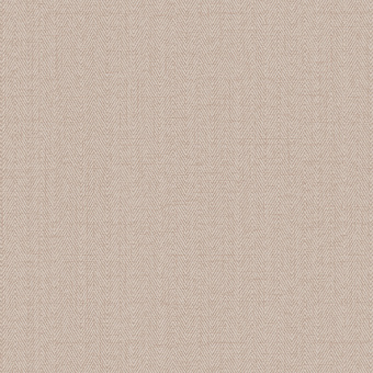 Обои Alessandro Allori Bruni