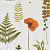 Обои Clarke & Clarke Botanica