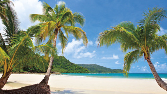 Фрески/Панно ORTOGRAF