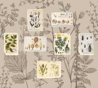 Фрески/Панно ORTOGRAF