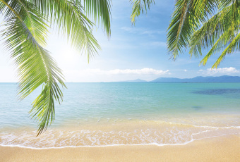 Фрески/Панно ORTOGRAF