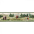 Обои York Rustic Living
