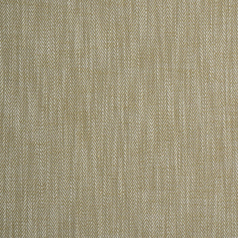 Ткань Ashley Wilde Aubrey