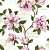 Обои Jaima Brown Charleston Home