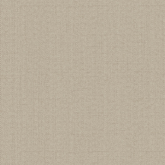 Обои Alessandro Allori Bruni