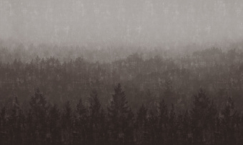 Фотообои Co.De CODE 01