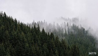 Фрески/Панно ORTOGRAF