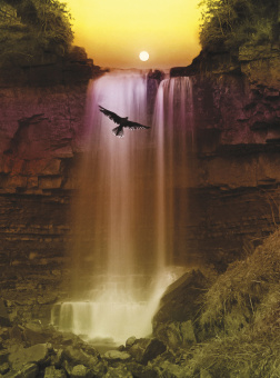 Фрески/Панно ORTOGRAF