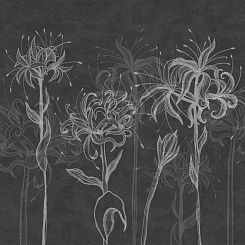 Фотообои Wall Street SUMMERTIME