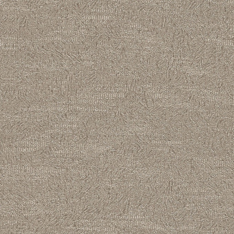 Обои Brewster Evolution 10