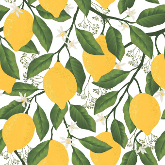 Фрески/Панно ORTOGRAF Enjoy