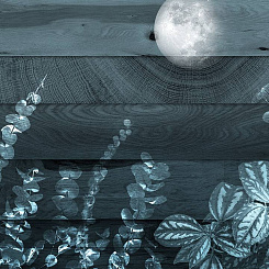  Обои Skinwall Contemporary Collection