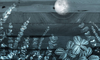  Обои Skinwall Contemporary Collection