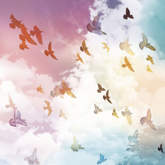 Фрески/Панно ORTOGRAF Небо