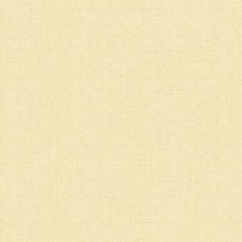 Обои Alessandro Allori Bruni